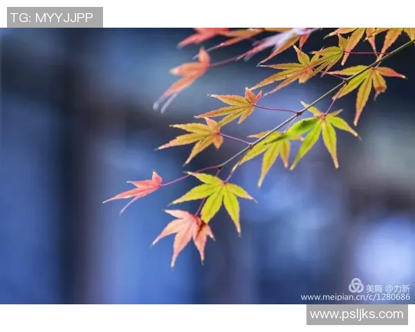 年薪5470万，带队尴尬0胜4负！交易你来做核心，可你逐渐打成绿叶